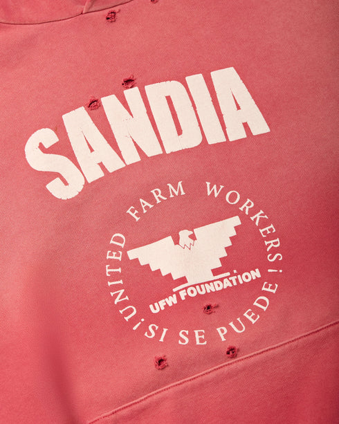 WILLY CHAVARRIA Hooligan Hoodie "Sandia" Mens Apparel