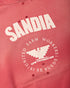 WILLY CHAVARRIA Hooligan Hoodie "Sandia" Mens Apparel