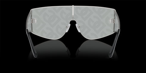 DOLCE & GABBANA 0dg2305 44 Silver W/light Grey Accessories