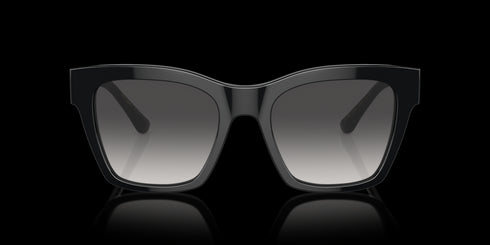 DOLCE & GABBANA 0dg4384 53 Black W/grey Gradient Accessories