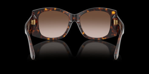 DOLCE & GABBANA 54 Havana W/ Gradient Brown Accessories