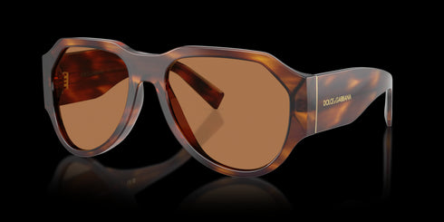 DOLCE & GABBANA 0DG4504 58 Striped Brown W/brown Accessories