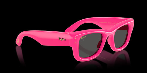 RAY-BAN Wayfarer Puffer Fuchsia Accessories