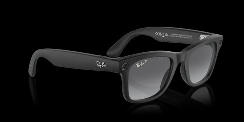 RAY-BAN Wayfarer Matte Black W/polar Accessories