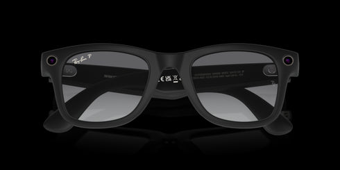 RAY-BAN Wayfarer Matte Black W/polar Accessories