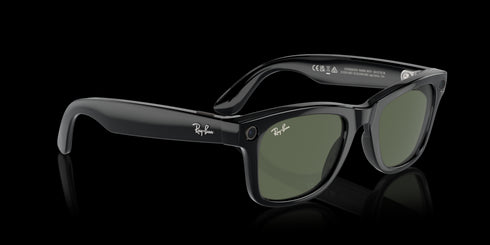 RAY-BAN Wayfarer Shiny Black W/g15 Green Accessories