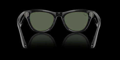 RAY-BAN Skyler Shiny Black W/g15 Green Accessories
