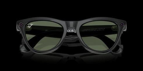 RAY-BAN Skyler Shiny Black W/g15 Green Accessories