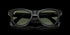 RAY-BAN Skyler Shiny Black W/g15 Green Accessories
