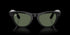 RAY-BAN Skyler Shiny Black W/g15 Green Accessories