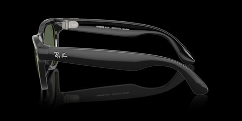 RAY-BAN Skyler Shiny Black W/g15 Green Accessories