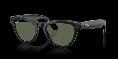 RAY-BAN Skyler Shiny Black W/g15 Green Accessories