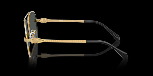 VERSACE 0ve2283 61 Gold W/dark Grey Accessories