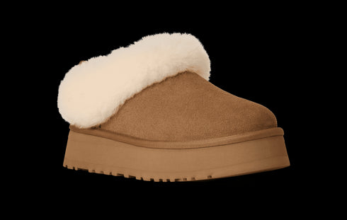 UGG Tazzelle Womens Boots