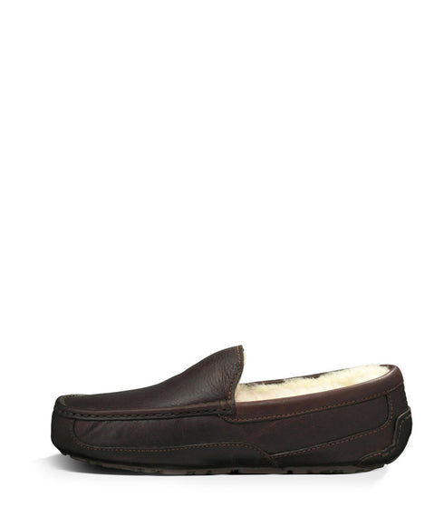 UGG Ascot Mens Slides
