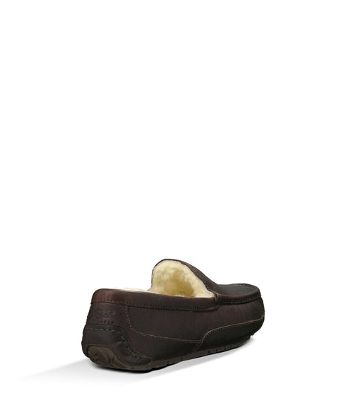 UGG Ascot Mens Slides