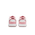 NIKE Dunk Low (GS) Kids Sneakers