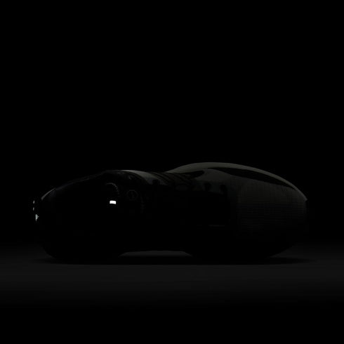 NIKE Lunar Roam Mens Sneakers