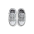 NIKE Dunk Low (tde) Toddlers Sneakers