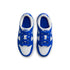 NIKE Dunk Low (PSE) Kids Sneakers