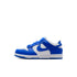 NIKE Dunk Low (PSE) Kids Sneakers
