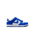 NIKE Dunk Low (PSE) Kids Sneakers