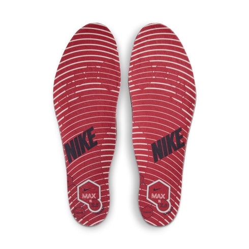 NIKE Air Max TL 2.5 Mens Sneakers