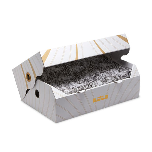 NIKE Lebron XXI Men's Sneakers