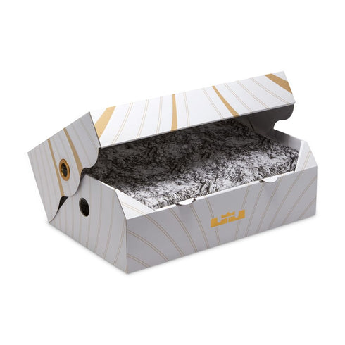 NIKE Lebron XXI Men's Sneakers