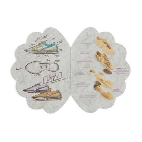 NIKE Lebron XXI Men's Sneakers