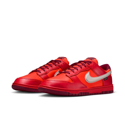 NIKE Dunk Low GTX Men's Sneakers