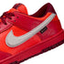 NIKE Dunk Low GTX Men's Sneakers