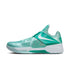 NIKE Zoom Kd IV Mens Sneakers
