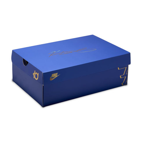 NIKE Zoom Kd IV Mens Sneakers