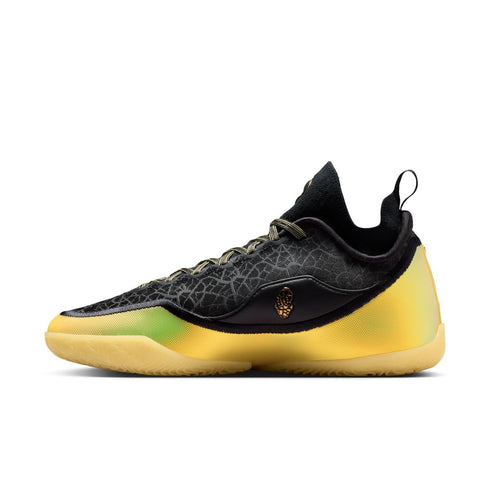 NIKE Lebron XXIII Elite "Hurt Feelings " Mens Sneakers
