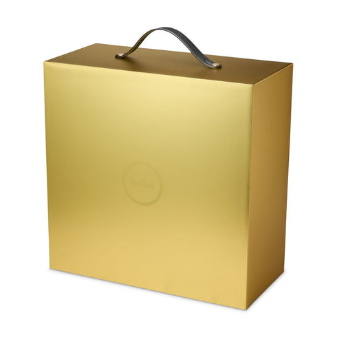 NIKE LeBron XXIII "Chosen One" Lux Mens Sneakers