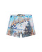 KSUBI Last Summer Boardshort Multi Mens Apparel