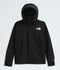 THE NORTH FACE Gtx Mountain Jacket Mens Apparel