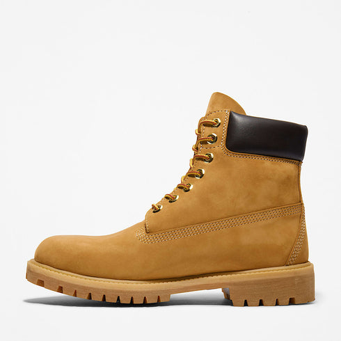 TIMBERLAND 6" PREMIUM WATERPROOF Mens Boots