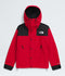THE NORTH FACE GORE-TEX® Mountain Jacket Mens Apparel