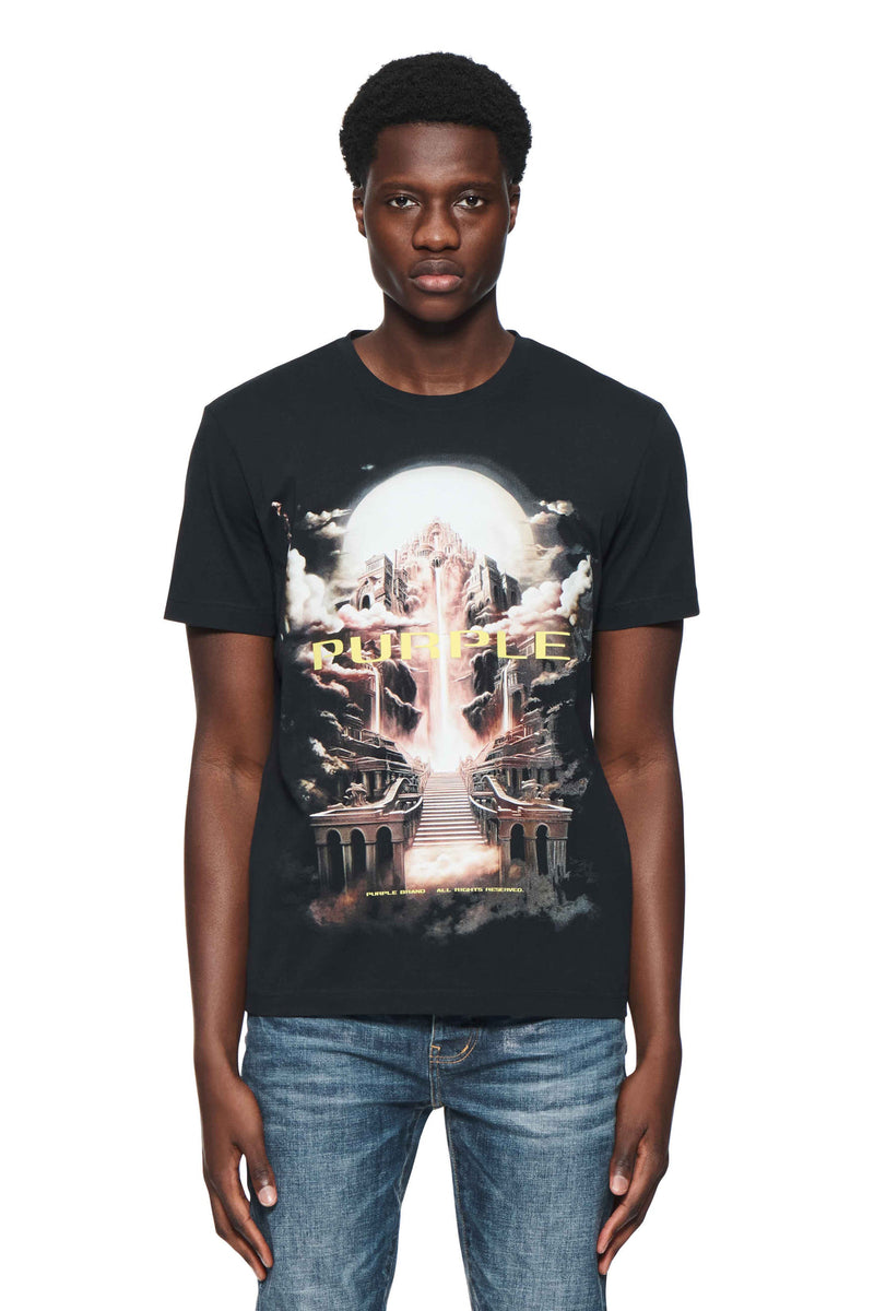 PURPLE BRAND P109 Clean Jersey Short Slv Tee Mens Apparel