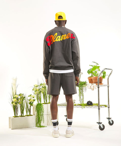 PAPER PLANES Relaxed Sunset Crewneck Mens Apparel