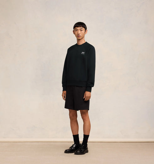 AMI PARIS Alexandre Mattiussi Sweatshirt Mens Apparel