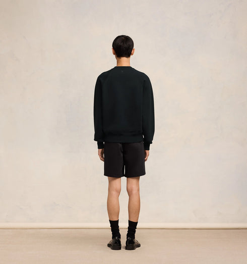 AMI PARIS Alexandre Mattiussi Sweatshirt Mens Apparel