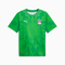 PUMA x SALEHE BEMBURY x Egypt Goalkeeper Jersey Mens Apparel