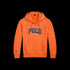 POLO RL Long Sleeve RL Fleece Graphic Chenille Mens Apparel