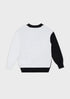 EMPORIO ARMANI Boys Sweat Top With Large Eagle Kids Apparel