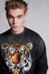 DSQUARED2 Tiger Mike Sweater Mens Apparel - MENS APPAREL
