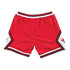 MITCHELL & NESS ’76 AUTHENTIC BULLS SHORTS Mens Apparel -