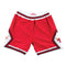 MITCHELL & NESS ’76 AUTHENTIC BULLS SHORTS Mens Apparel -
